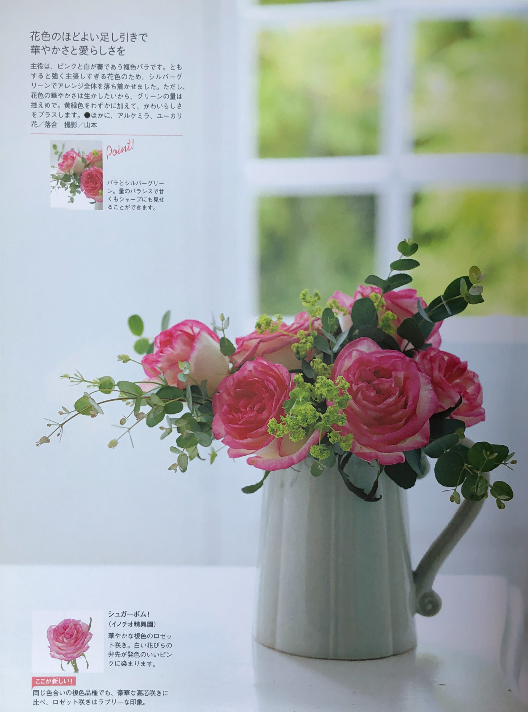 花色で魅せる新しいバラの共演 「複色ピンク」 P153 ピンクと白が奏であう複色バラシュガーボムを ピッチャーにあしらいました。 花・落合惠美　撮影・山本正樹
